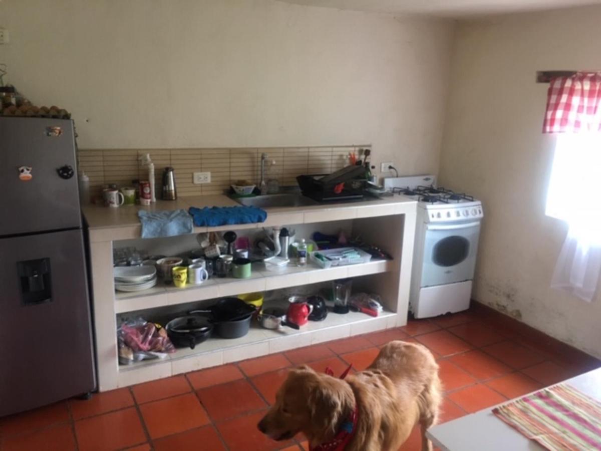 San Carlos 100% Pet Friendly *